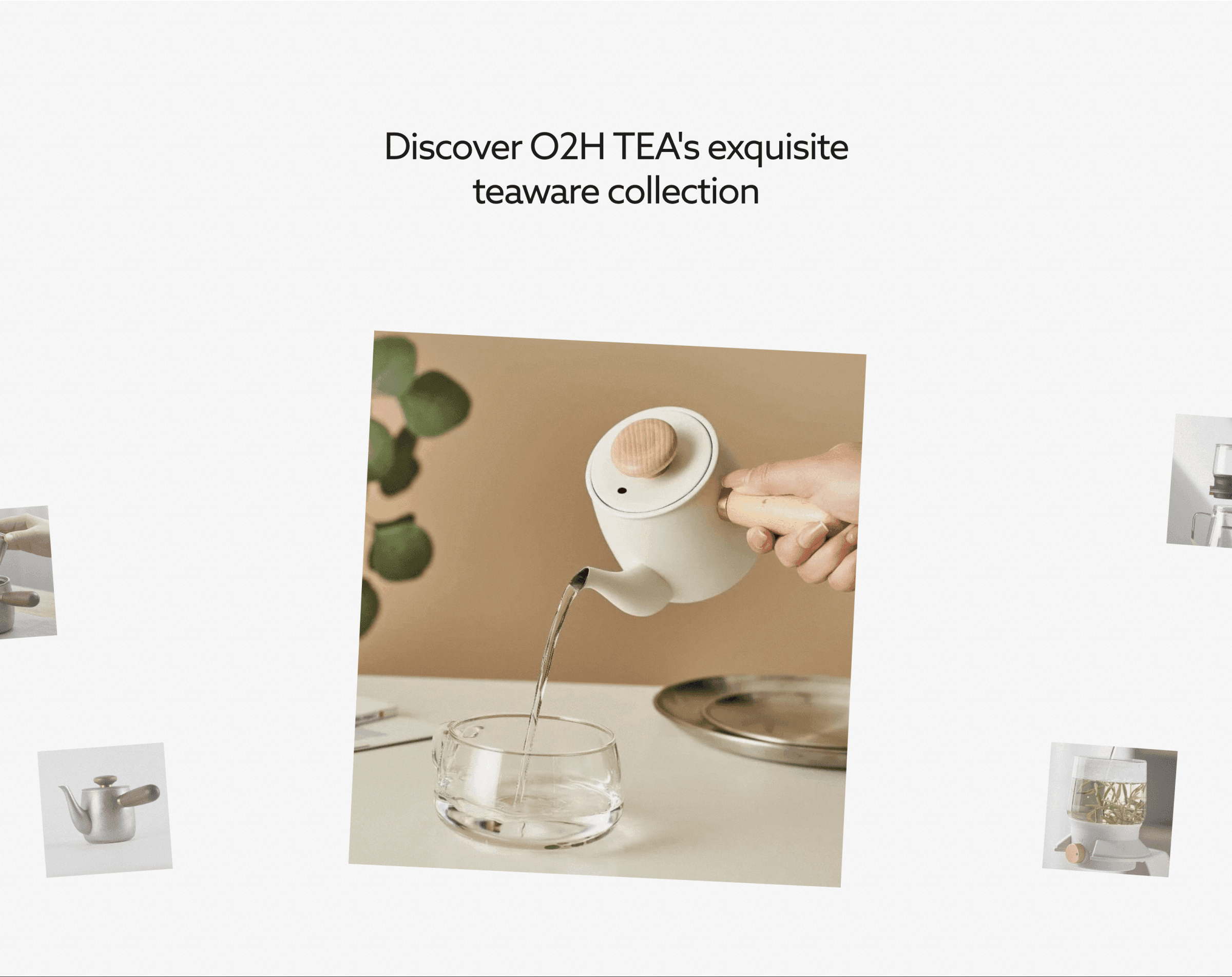 O2H TEA Website5