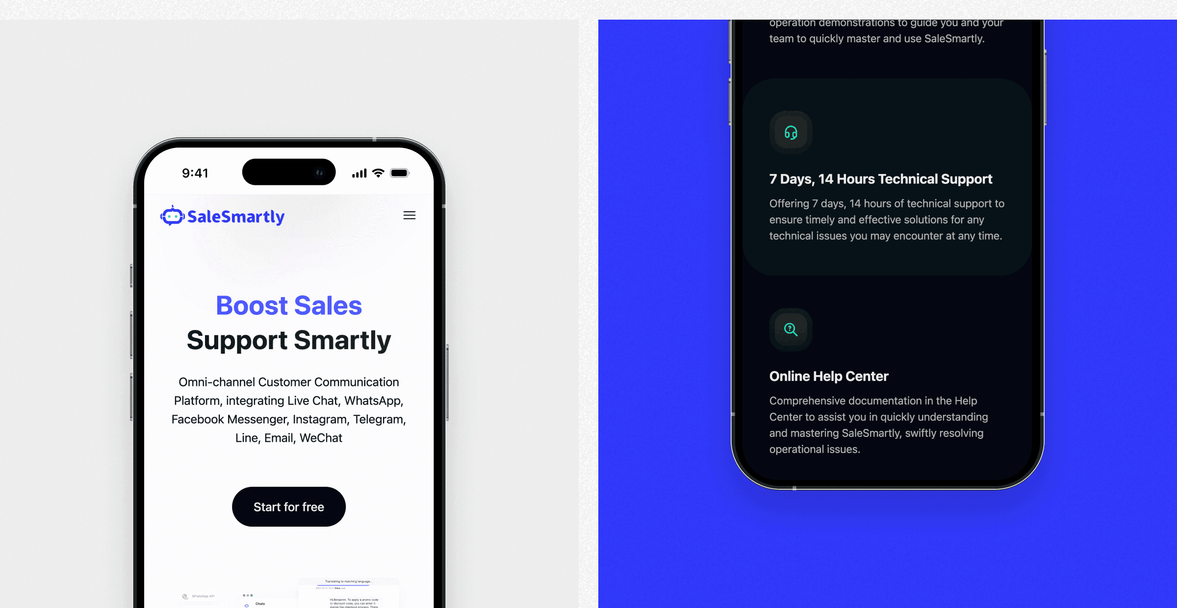 SaleSmartly Website3